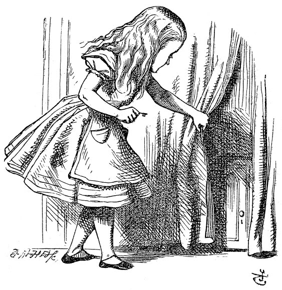 Alice and the door
